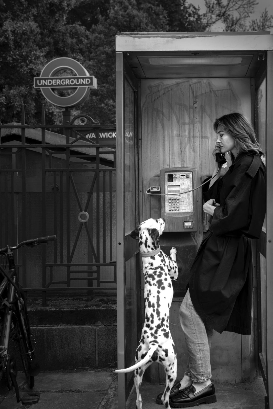 One of 101 Dalmatians (The Phone Box)