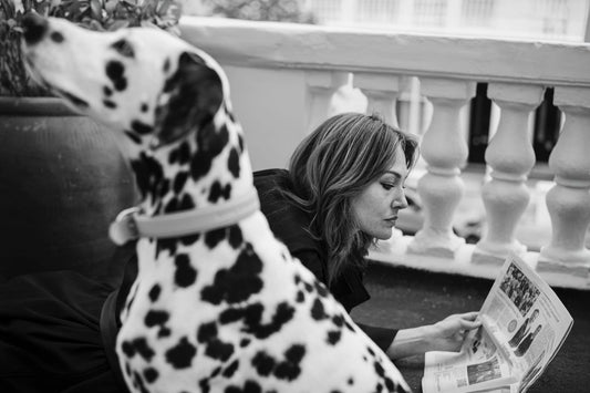 One of 101 Dalmatians (The Terrace)